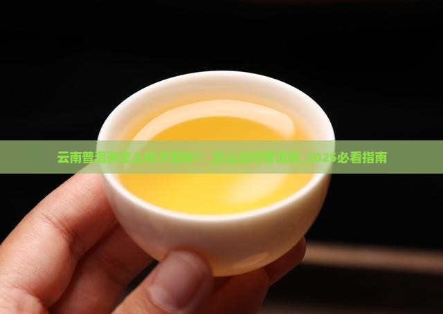 云南普洱茶怎么样才算好