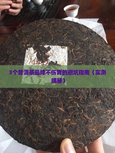 普洱茶什么牌子好不伤胃