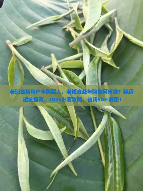 老班章茶每户年购买入