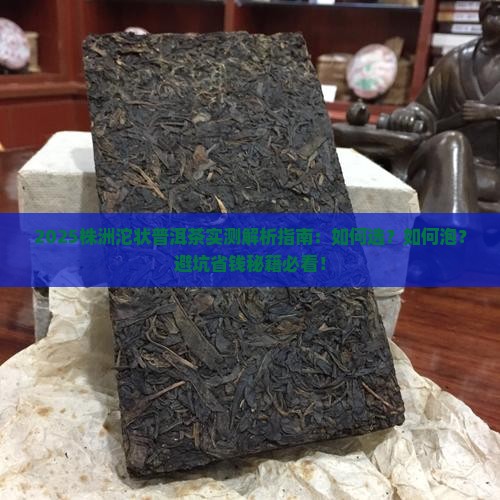 株洲沱状普洱茶