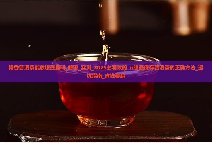 糯香普洱茶能放暖壶里吗
