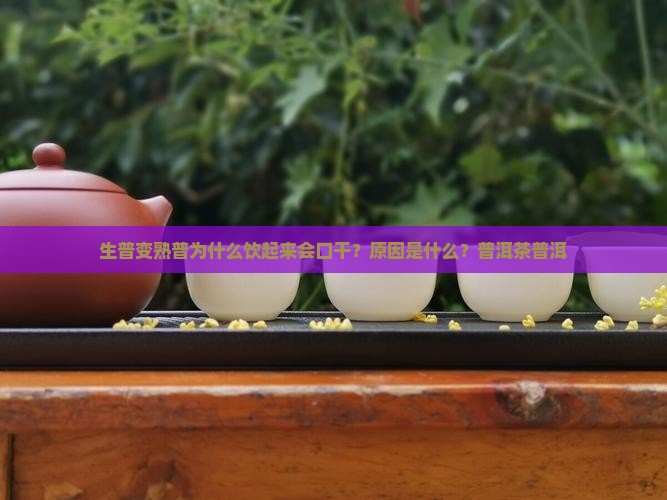 生普变熟普为什么饮起来会渴喉