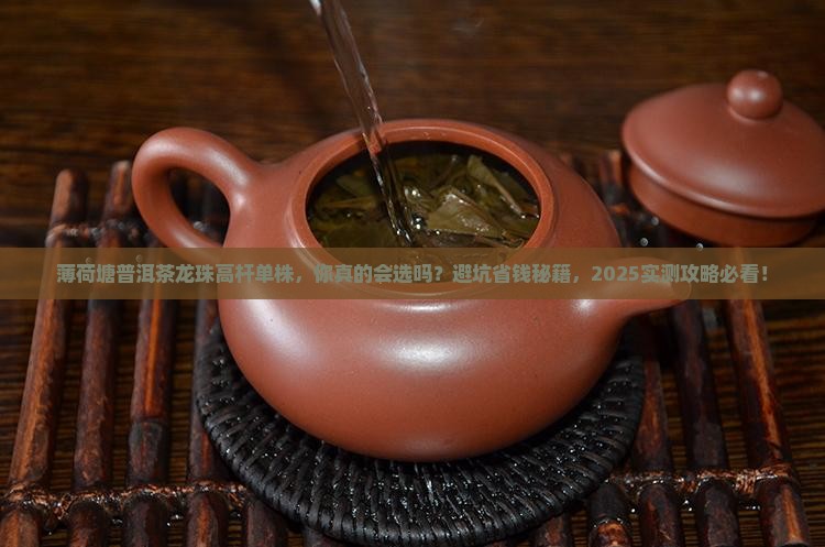 薄荷塘普洱茶龙珠高杆单株