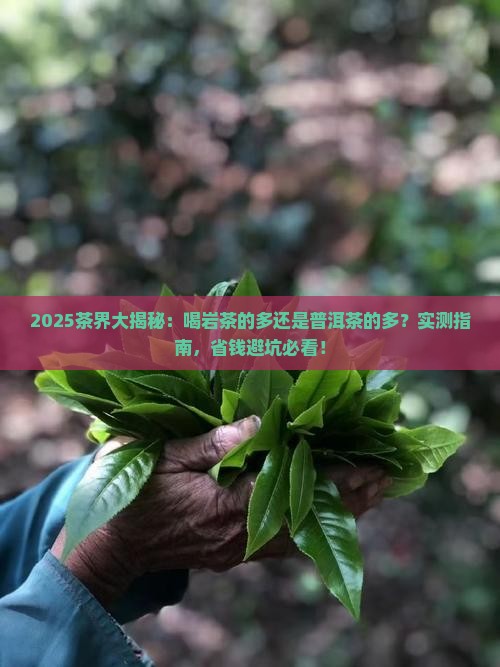 喝岩茶的多还是普洱茶的多