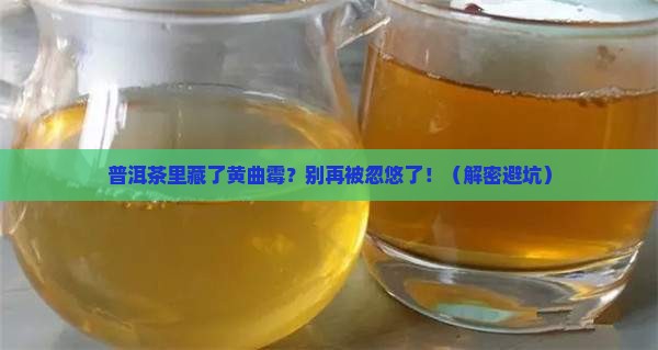 普洱茶与黄曲霉