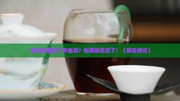 普洱茶与黄曲霉