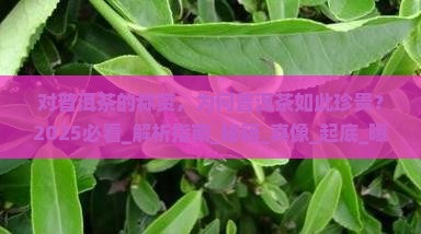 对普洱茶的称赞