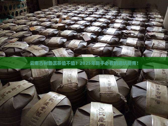 云南古树普洱茶价值