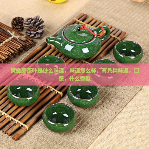 黄金芽茶叶是什么味道