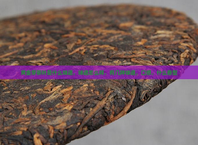 黄金芽茶叶是什么味道