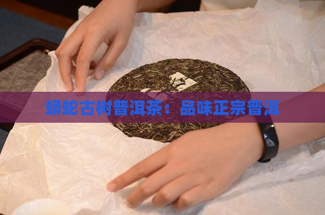 2020蟒蛇箐普洱茶