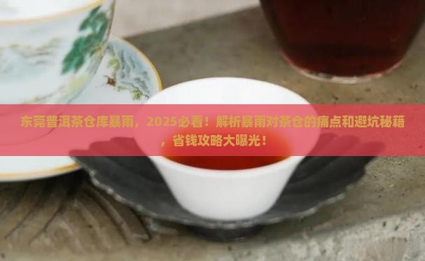 东莞普洱茶仓库暴雨