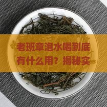 老班章泡水喝的作用