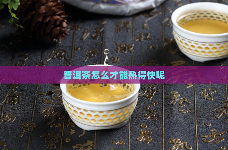 普洱茶怎么才能熟得快呢