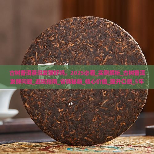 古树普洱茶没发酵好吗