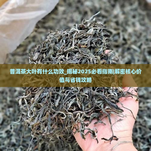普洱茶大叶有什么功效