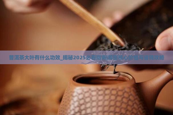普洱茶大叶有什么功效