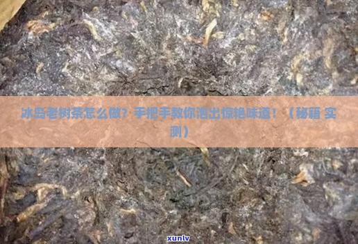 冰岛老树茶做法
