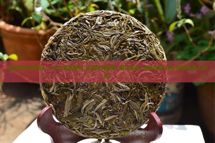 普洱茶生饼好吗