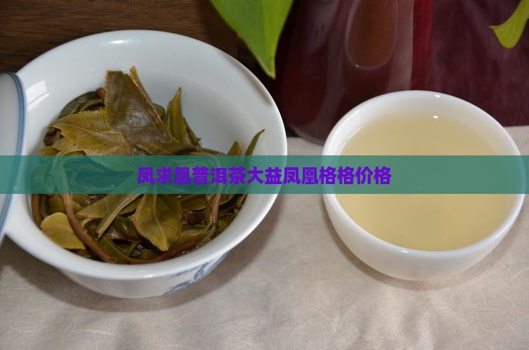 凤求凰普洱茶大益