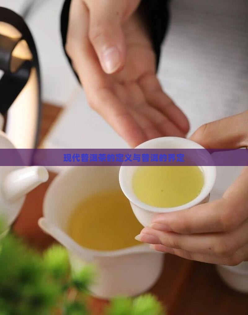 现代普洱茶的定义