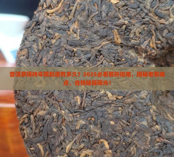 普洱茶保持年限