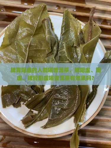 脾胃阳虚的人能喝普洱茶