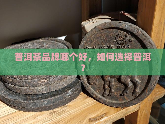 普洱茶怎么选品牌