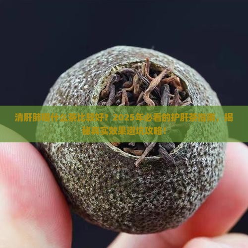 清肝肺喝什么茶比较好