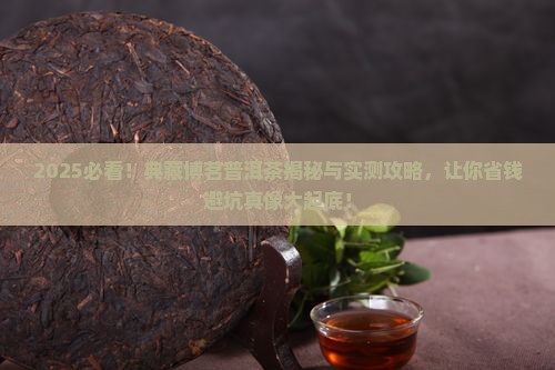 典藏博茗普洱茶