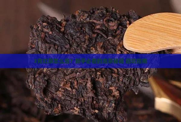 红茶一泡多少克红茶什么温度泡