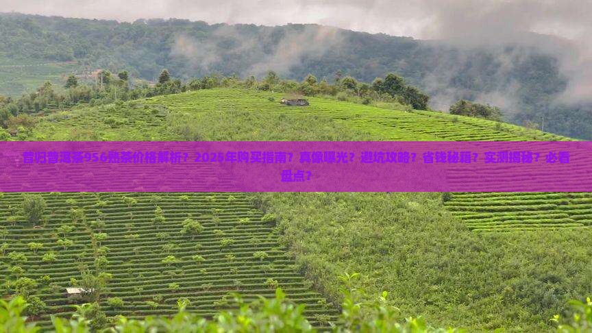 昔归普洱茶956熟茶价格