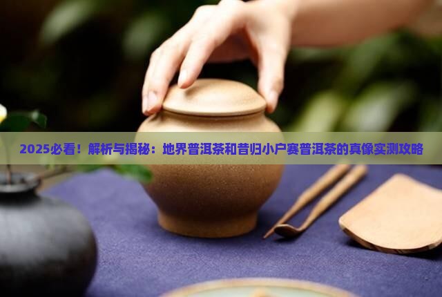 地界普洱茶和昔归小户赛普洱茶