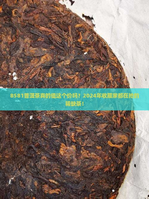 8581普洱茶的价格