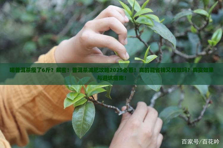 喝普洱茶瘦了6斤