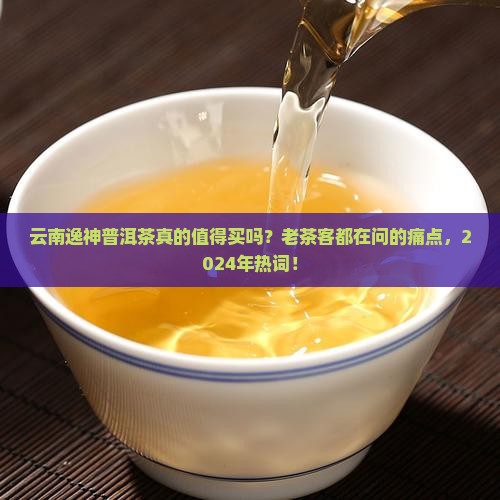 云南逸神普洱茶