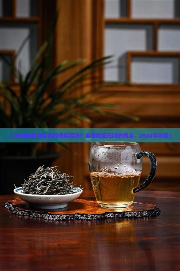 云南逸神普洱茶