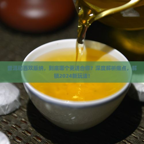普洱和西双版纳对比