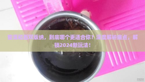 普洱和西双版纳对比