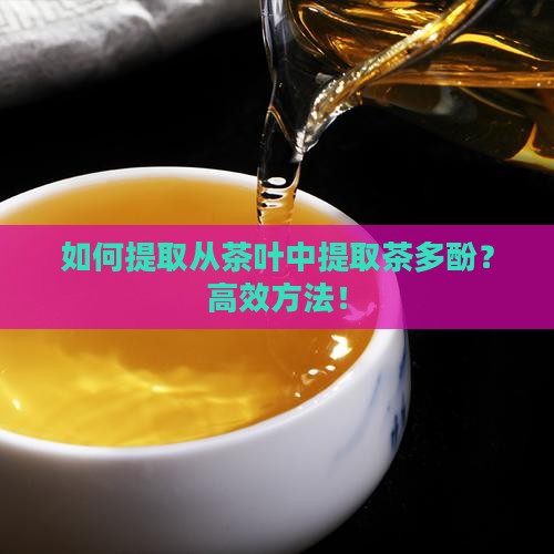 如何提取从茶叶中提取茶多酚