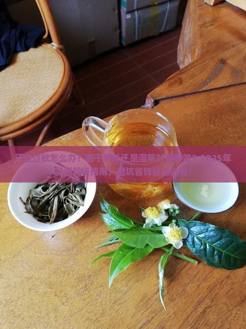 牙齿过敏嚼干茶叶还是湿茶叶