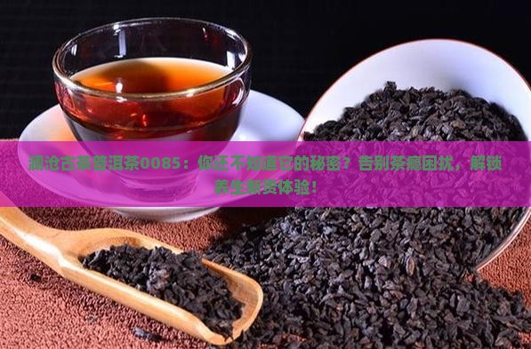 澜沧古茶普洱茶0085