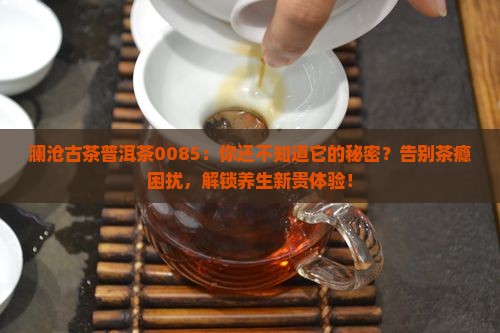 澜沧古茶普洱茶0085