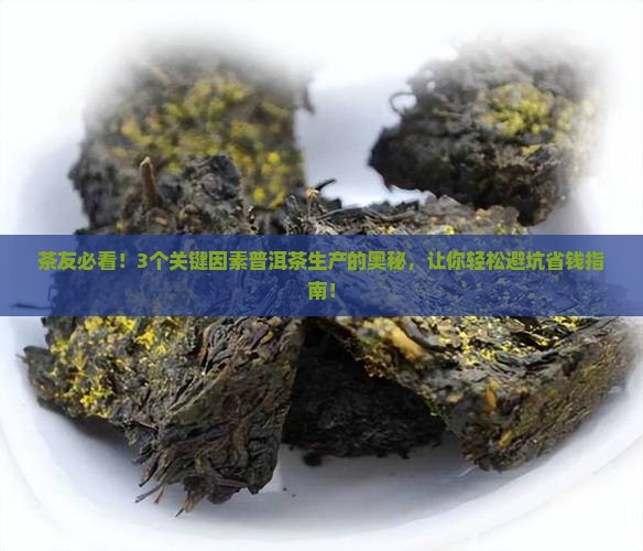 普洱茶生产的主导因素有哪些