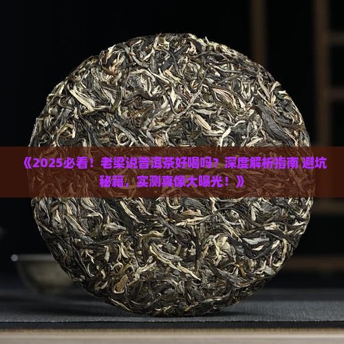 老梁说普洱茶好喝吗