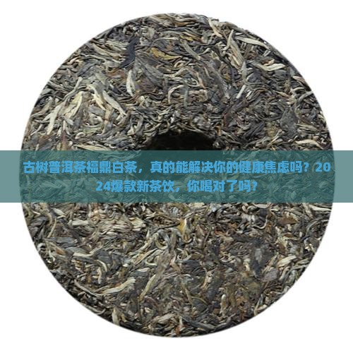 古树普洱茶福鼎白茶