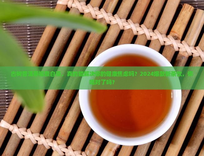 古树普洱茶福鼎白茶