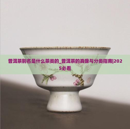 普洱茶别名是什么茶类的
