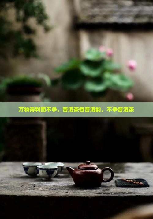 水善利万物而不争普洱茶