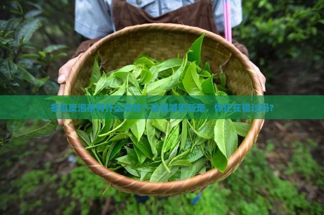 冬瓜皮泡茶有什么功效
